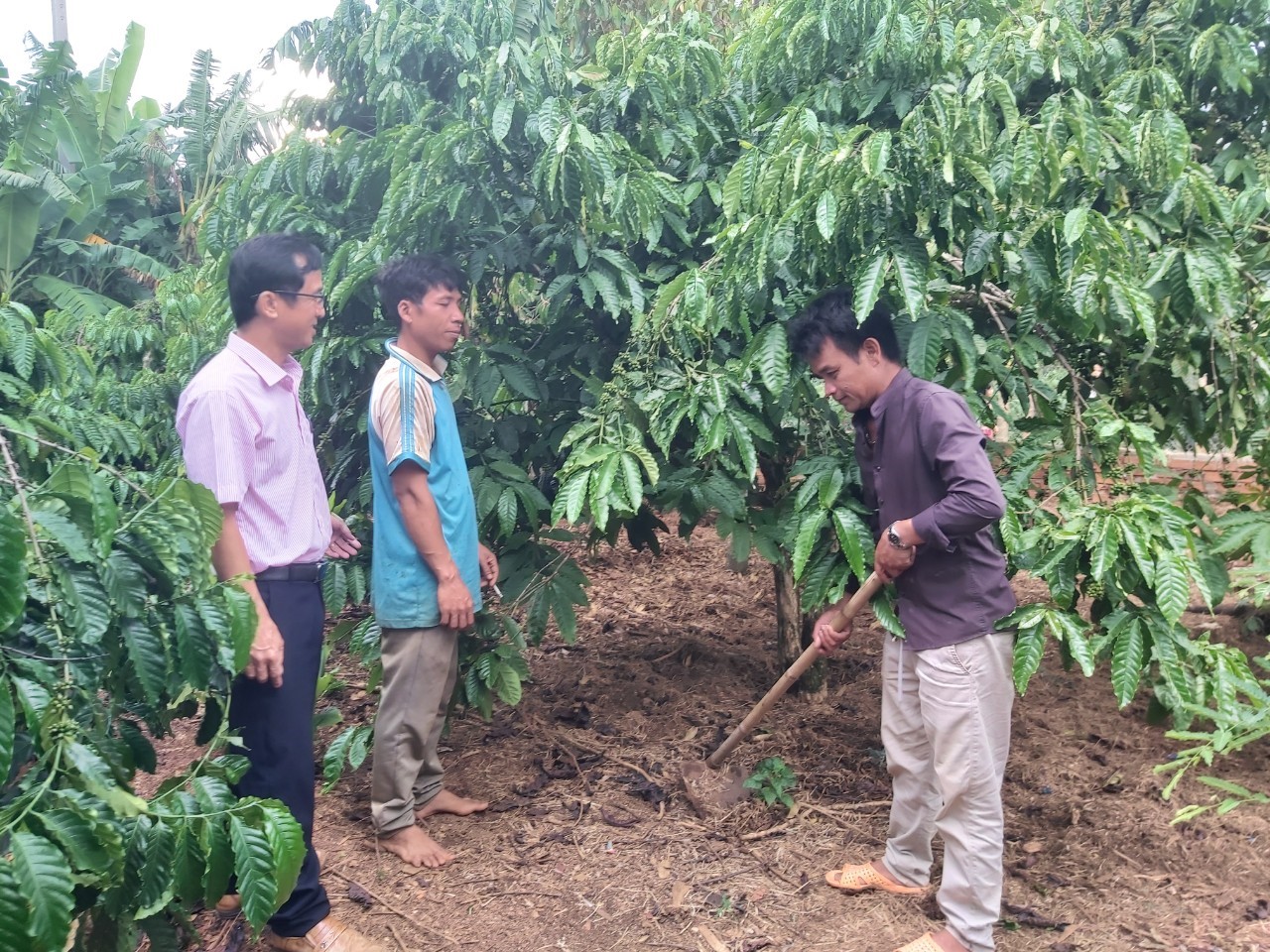 Nguồn vốn tín dụng Chính sách chung tay xây dựng phong trào Nông thôn mới trên địa bàn huyện Krông Pắc
