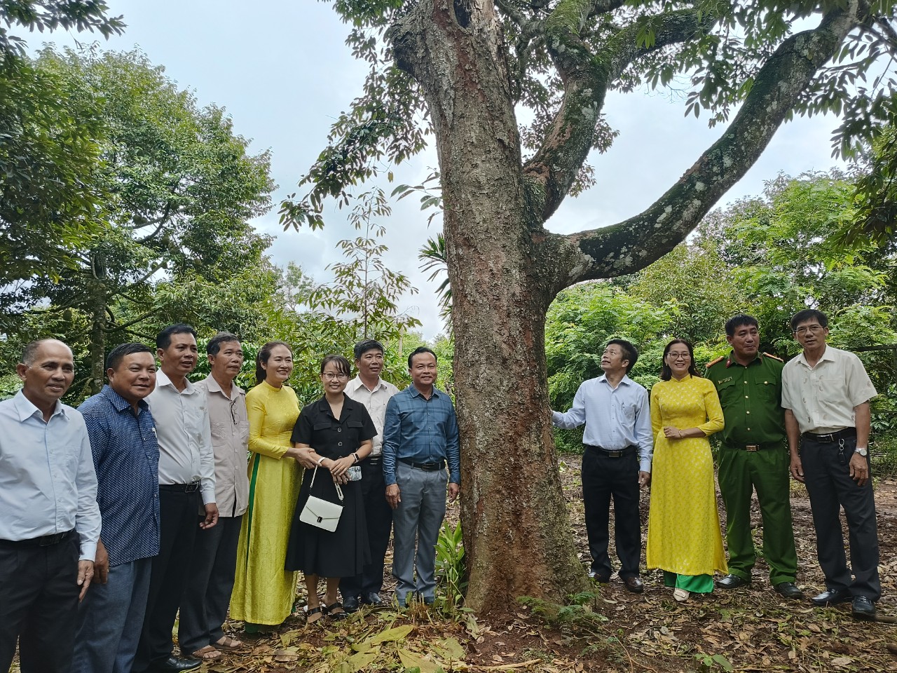 Lễ hội Sầu riêng huyện Krông Pắc lần thứ II, năm 2024: Chạy đua với thời gian