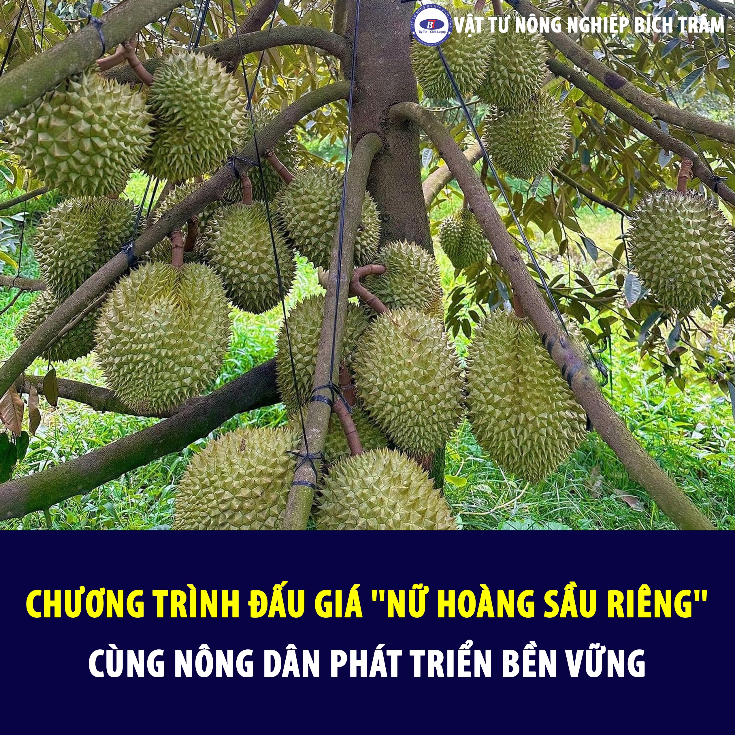 Chương trình đấu giá "Nữ hoàng sầu riêng" trong Hội thảo xây dựng và phát triển hệ sinh thái sầu riêng bền vững - không đơn thuần chỉ là buổi đấu giá