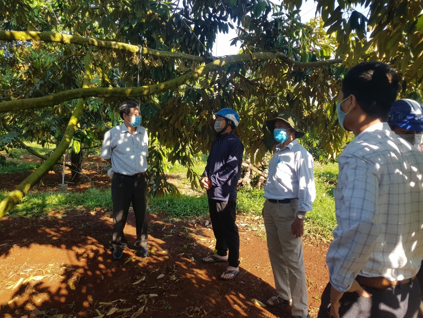 Ngành Nông nghiệp kiểm tra, hướng dẫn công tác chăm sóc, phòng trừ sâu bệnh hại cây trồng vụ đông xuân 2021-2022