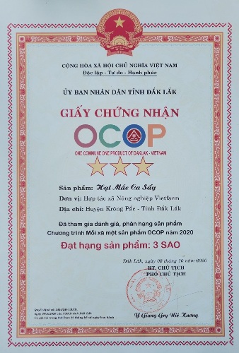 Hạt Mắc ca sấy