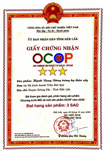 Nấm Đông Trùng Hạ Thảo sấy