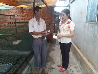 Huyện Krông Pắc hội thảo mô hình nuôi Ếch thương phẩm