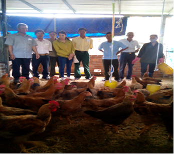 Hội thảo nhân rộng mô hình chăn nuôi gà an toàn sinh học