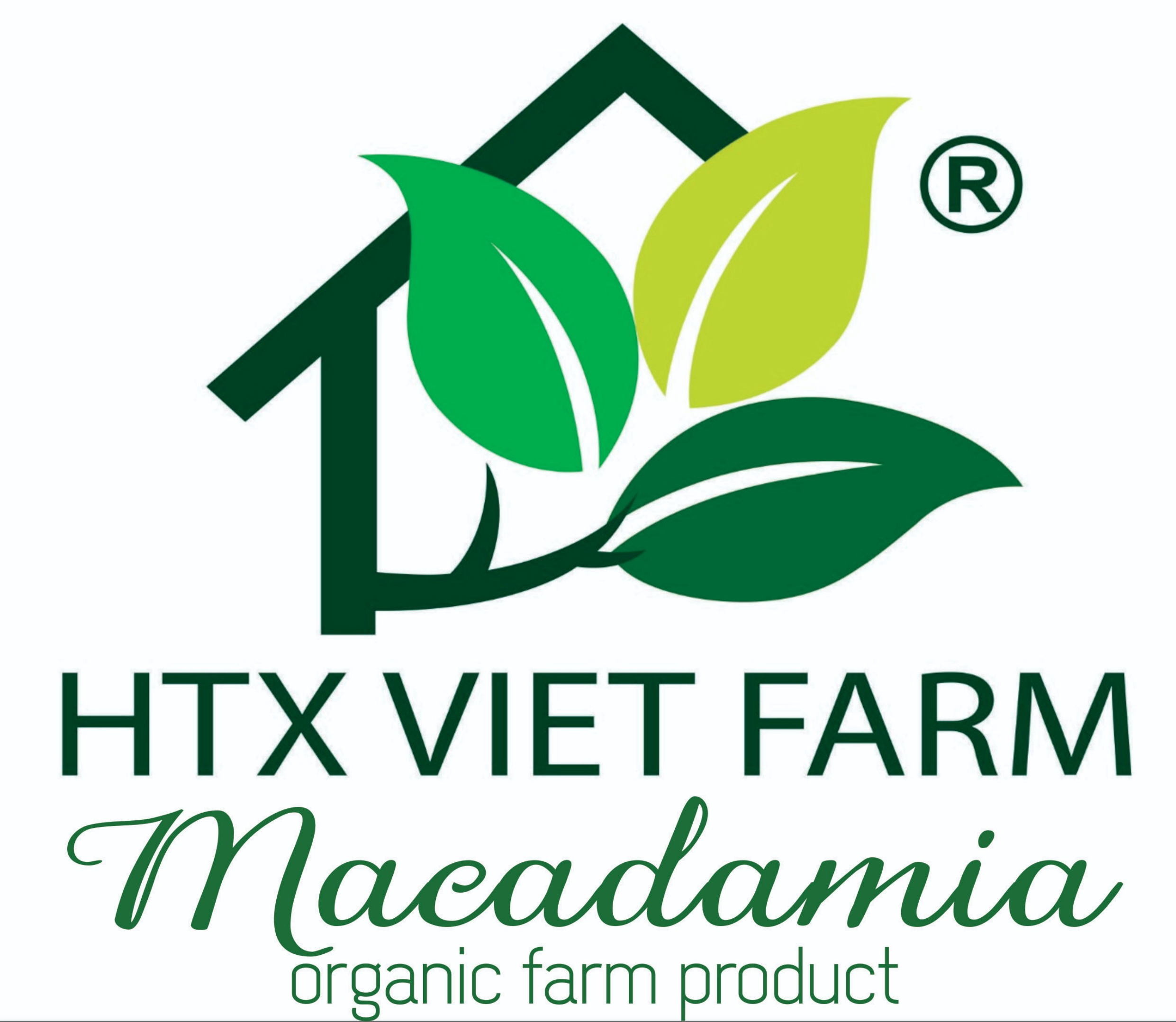HẠT MACCA