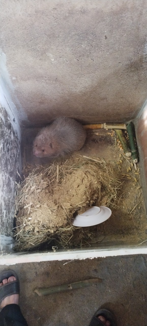 z4994490864764_654833fbc9a050cad1a0784627ef6543