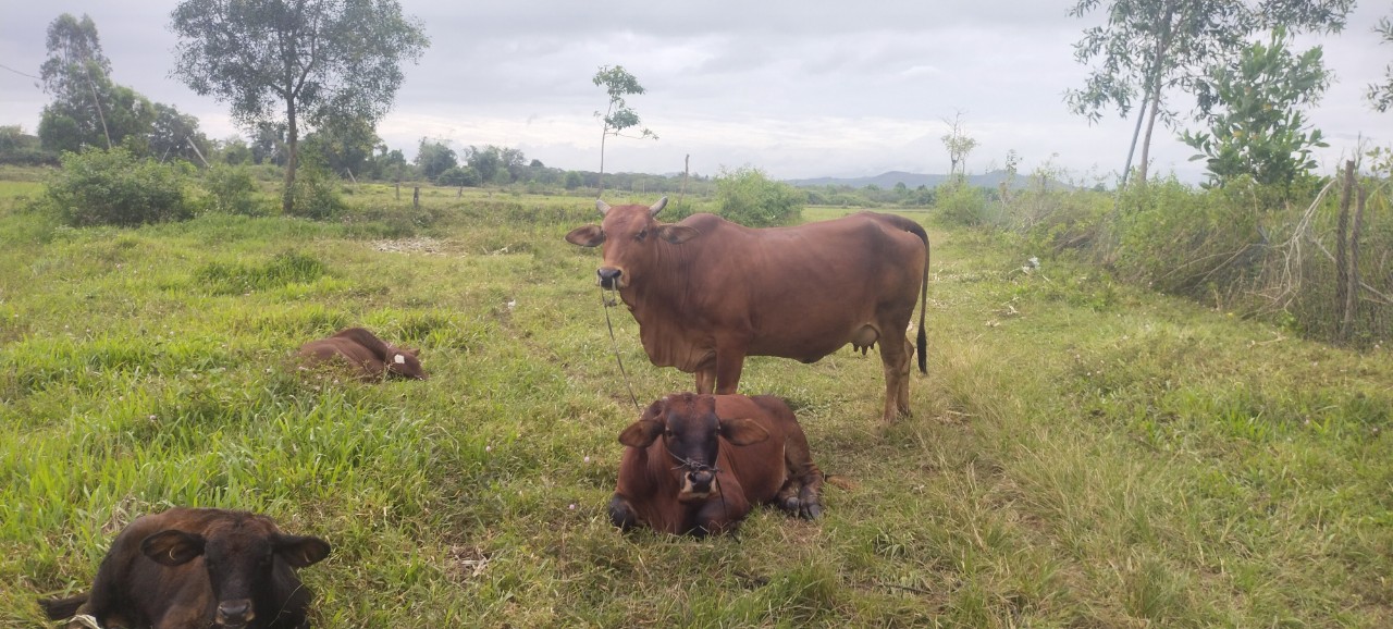 z4994490868164_2f263ca5d49edb830bc2f4b8b02db763