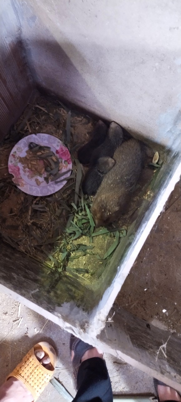 z4994490878416_36fd4d77e6cf2a15340df992e547fb6d