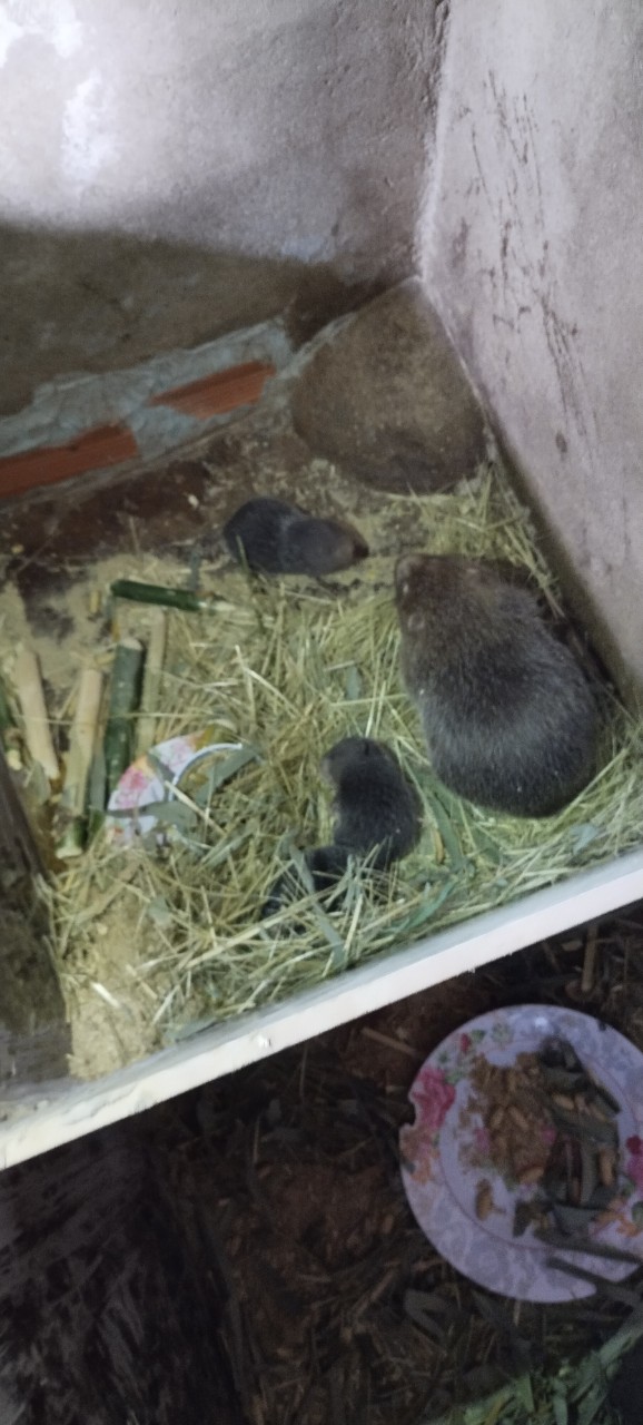 z4994490878418_f8eb91933fb7df9de91189c60e9d0abc