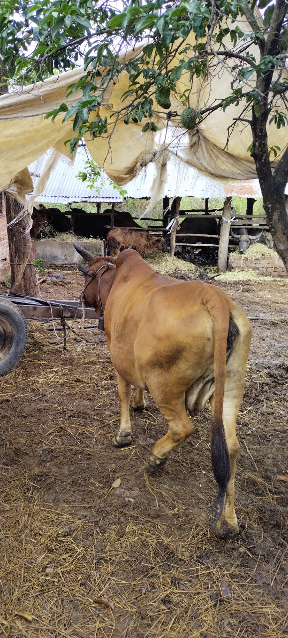 z4994490906814_fb1b4776182ef7ea9c596143276173d2