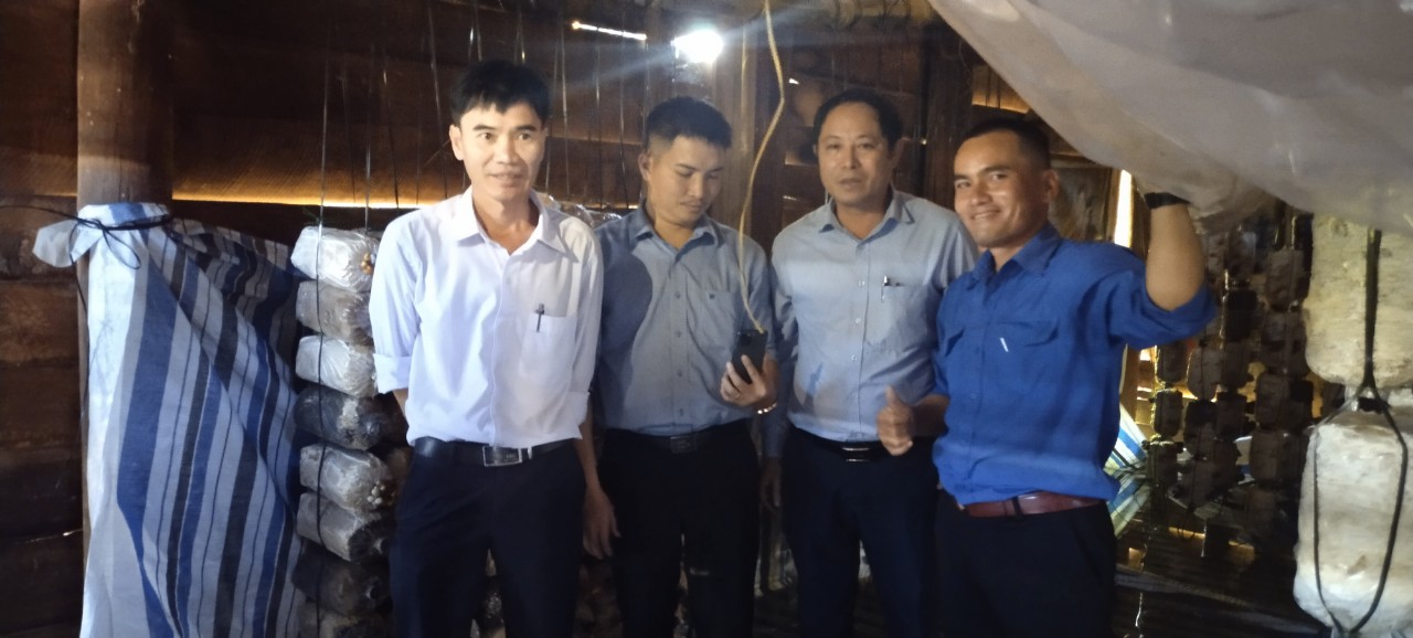 z4994496011490_bd5c52d8b02a25c95bb5bc645cbb49d6