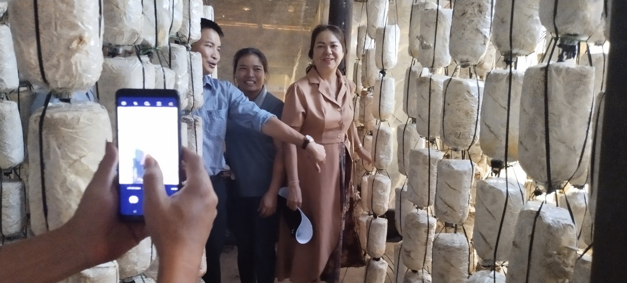 z4994496015138_6f9dac842818bc764dba452f55772916