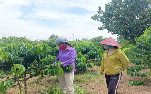 HỘI LHPN XÃ VỤ BỔN TỔ CHỨC KIỂM TRA HỘ VAY VỐN SAU 30 NGÀY GIẢI NGÂN