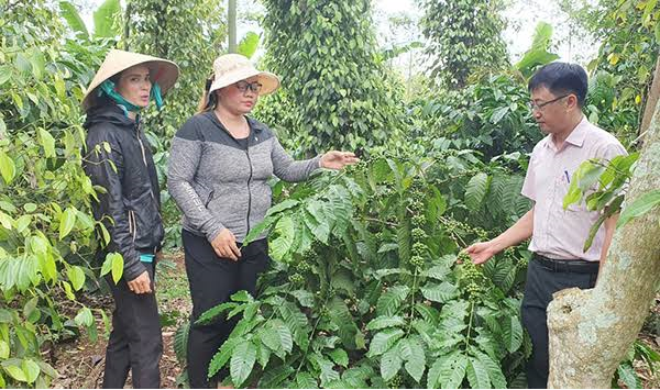ĐOÀN THANH NIÊN XÃ VỤ BỔN VỚI CÔNG TÁC QUẢN LÝ CÁC NGUỒN VỐN VAY TỪ NGÂN HÀNG CHÍNH SÁCH XÃ HỘI  KRÔNG PẮC