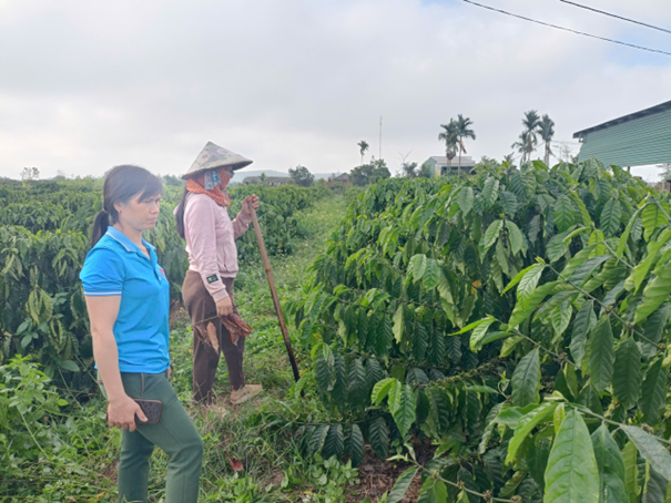 LÀM TỐT CÔNG TÁC QUẢN LÝ NGUỒN VỐN ỦY THÁC